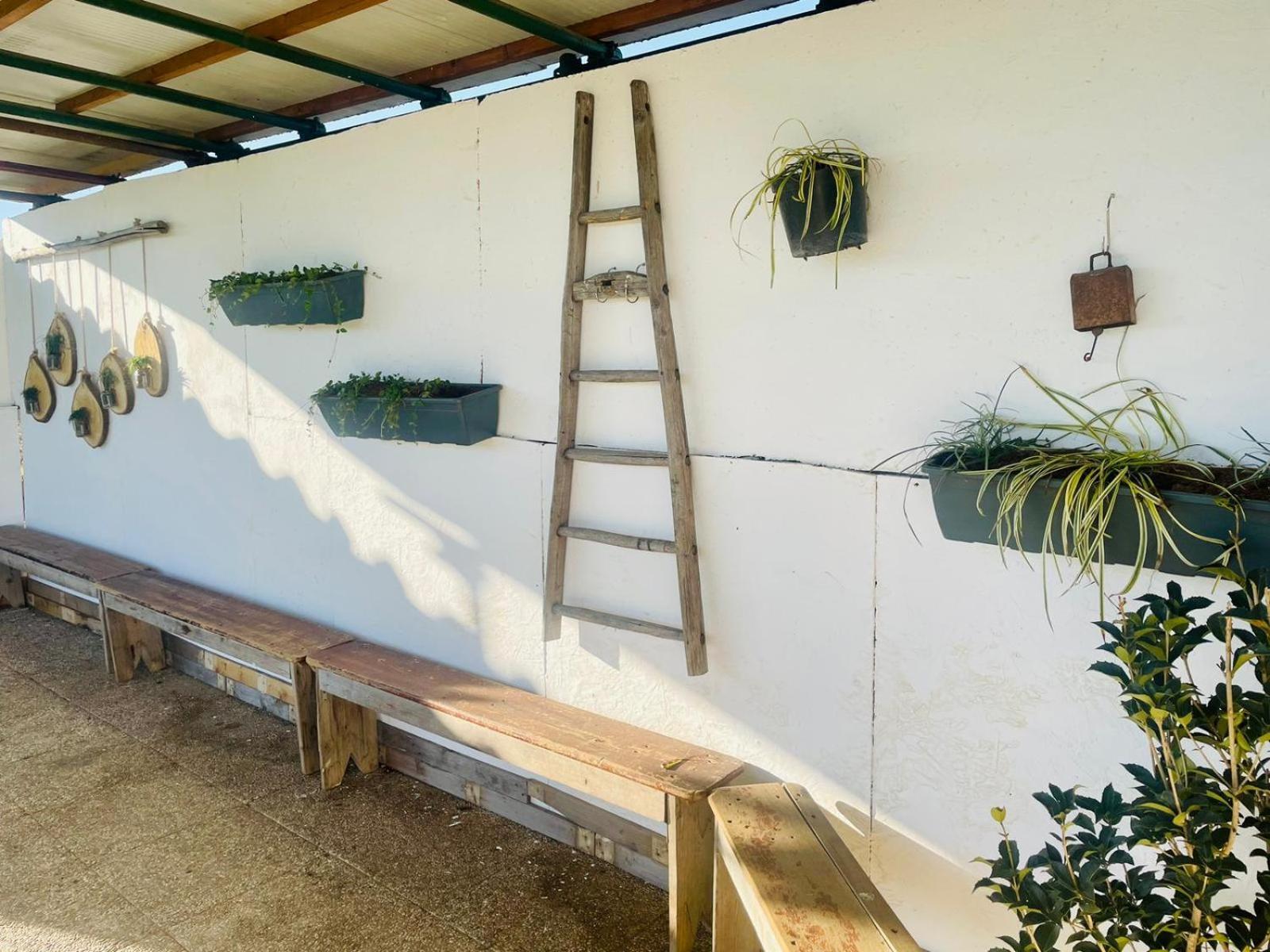 ריוולטה די טורינו B&B In Fattoria מראה חיצוני תמונה